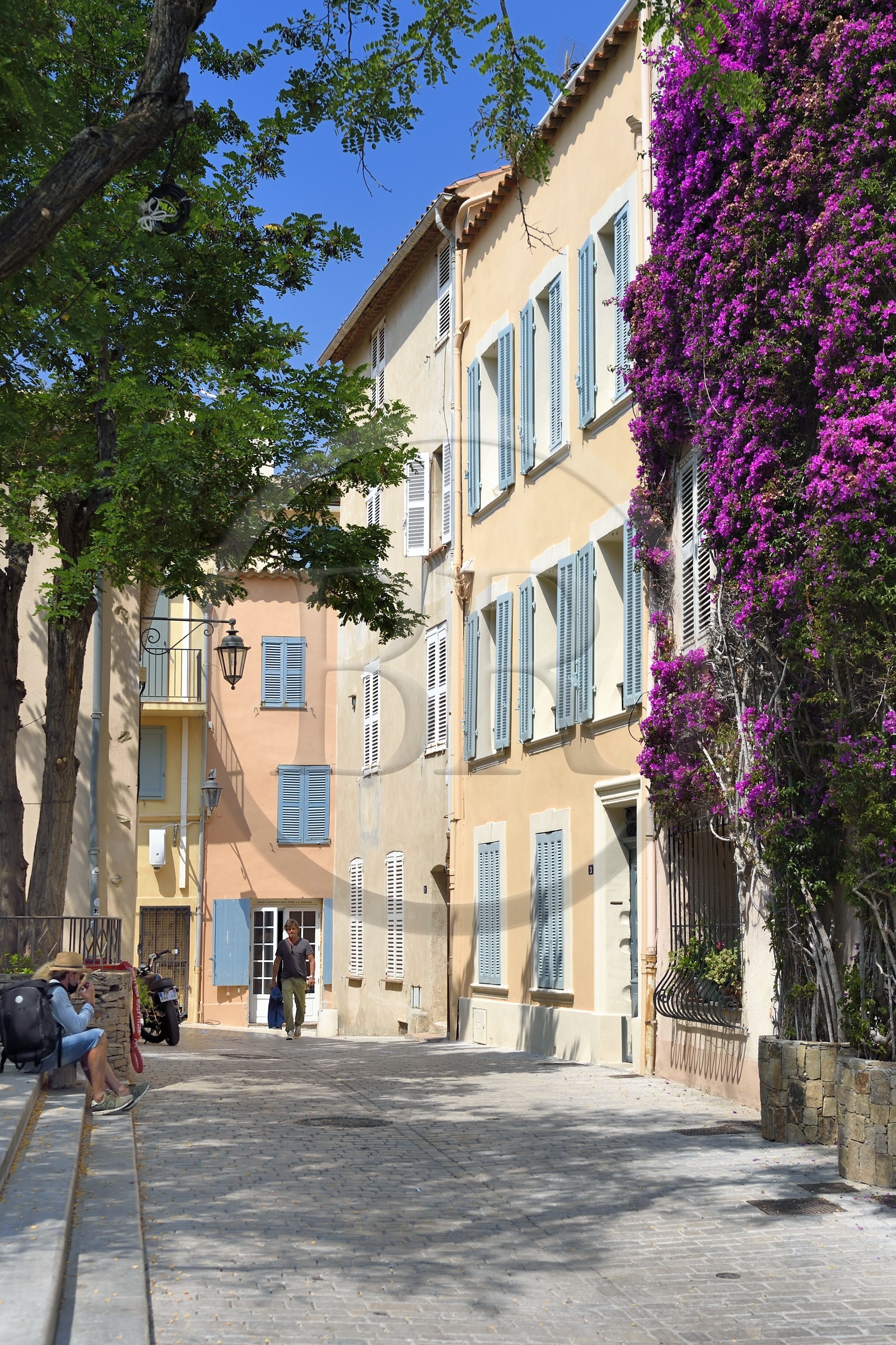 France, Var (83), Saint-Tropez, rue des Pêcheurs dans la vieille ville