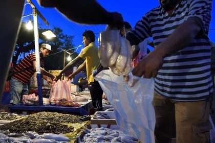 Sri Lanka, Province de l'Ouest, Negombo, vente de la peche de la nuit à la halle aux poisson du port