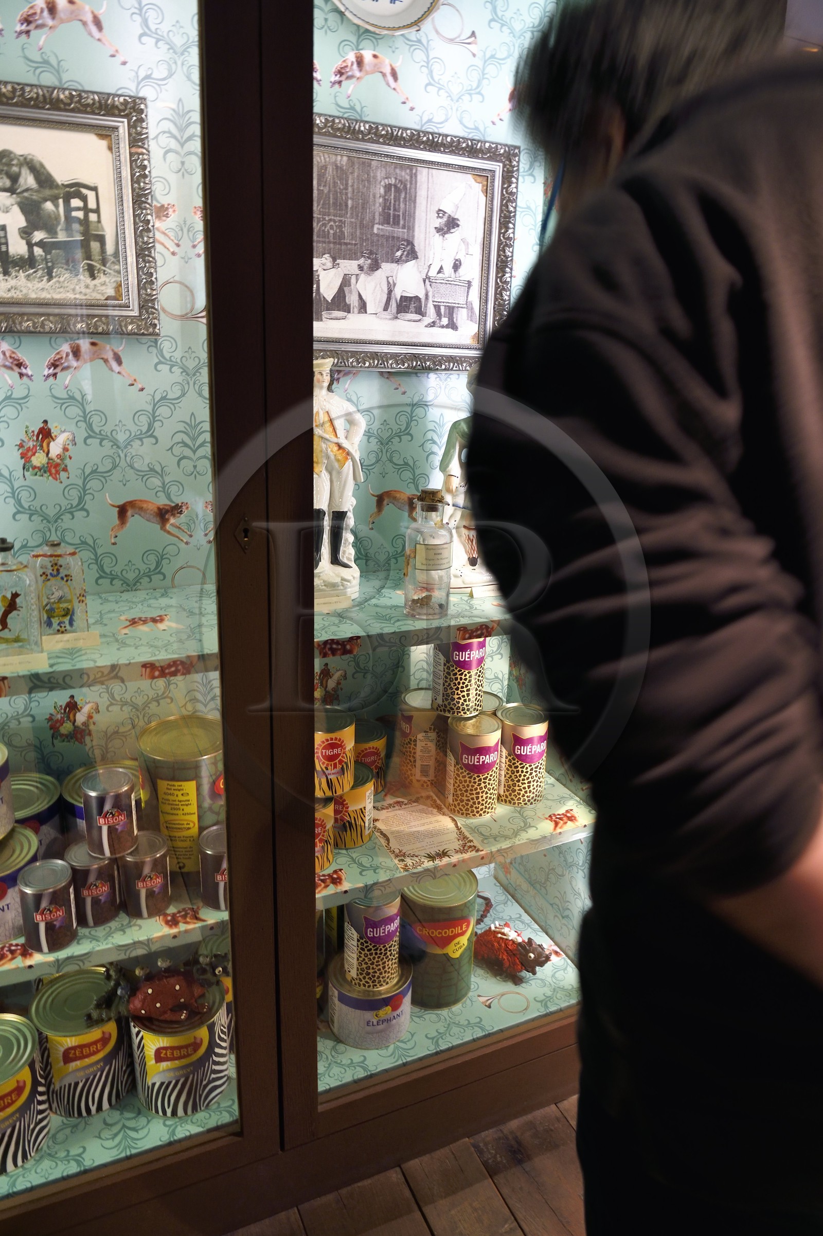 France, Paris (75), quartier du Marais, le musée de la Chasse et de la Nature dans l’hôtel de Guénégaud, installation Atlas d'une cosmogonie de l’artiste belge Patrick Van Caeckenbergh, boite