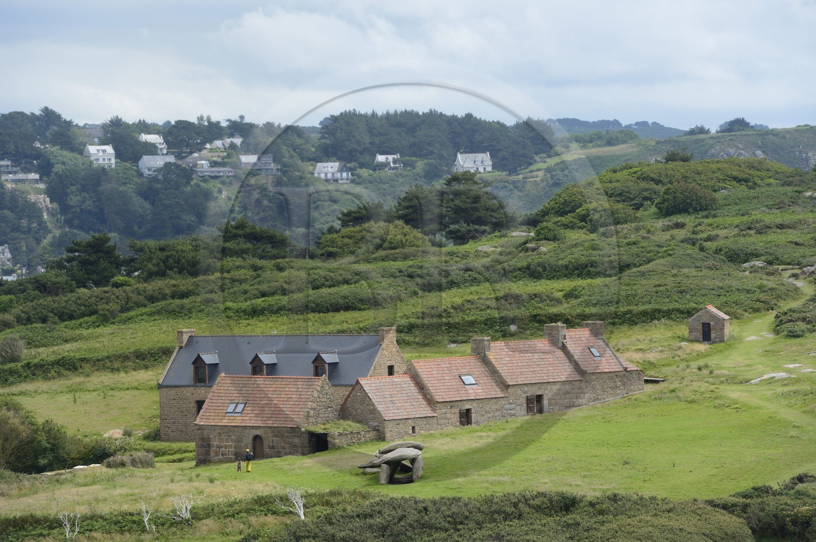 France, Côtes-d'Armor (22), Côte de Granit Rose, Trébeurden, allée couverte sur l'île Milliau