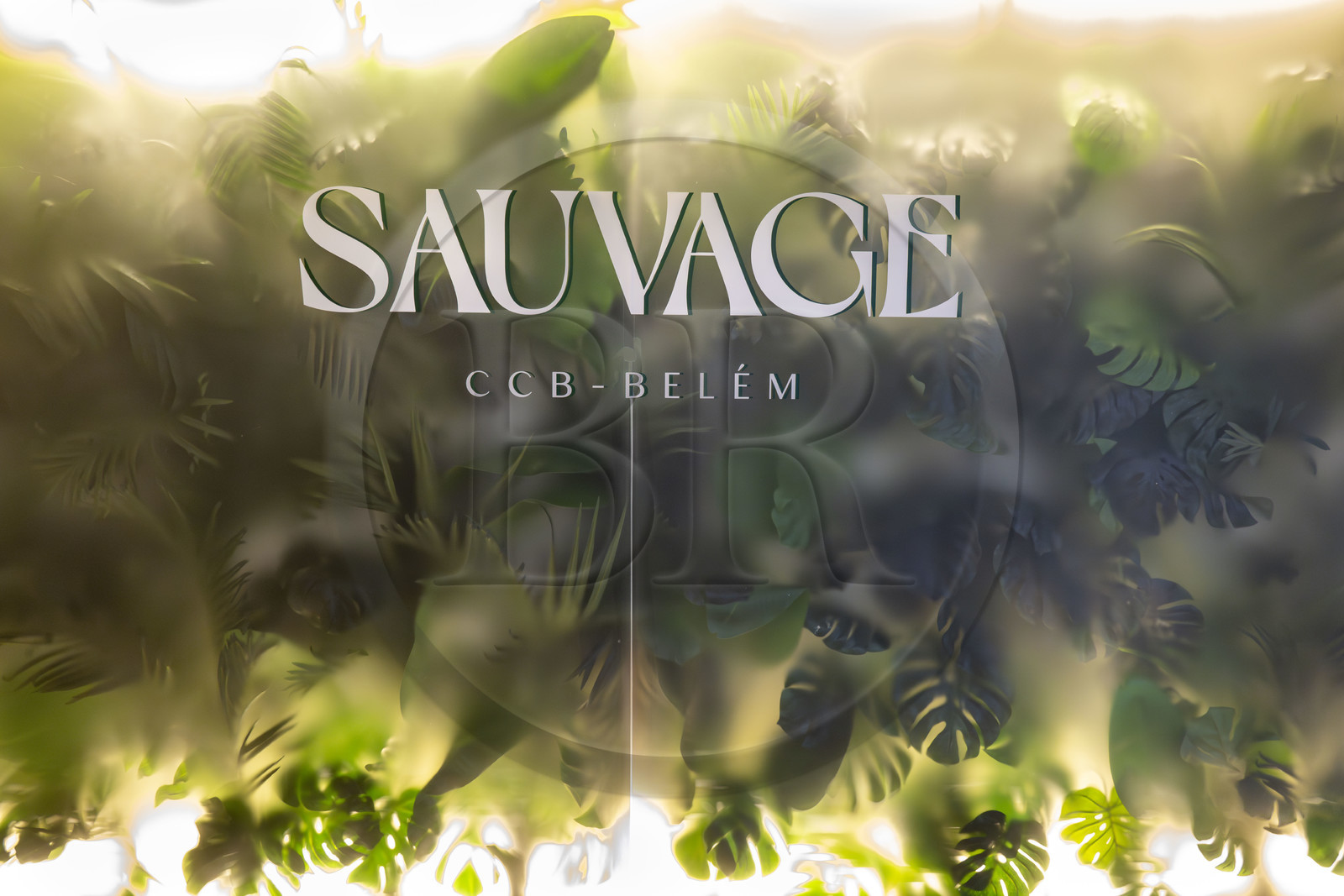 Portugal, Lisbonne, Bélem, le Centre Culturel de Belém MAC CCB, le restaurant Sauvage