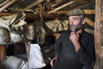Géorgie, Kakheti, Parc national de Touchétie, bergerie vers le village de Bochorna, le berger Mikourdzé y fabrique son fromage de manière traditionelle et artisanale
