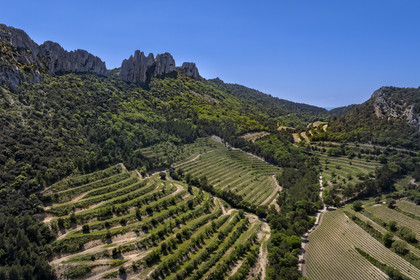 France, Vaucluse (84), Dentelles de Montmirail, Gigondas, la montagne des Dentelles Sarrasines et les vignobles en restanques (vue aérienne)