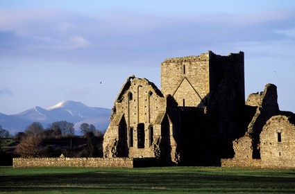 Irlande, Comté de Tipperary, abbaye de Hore à Cashel