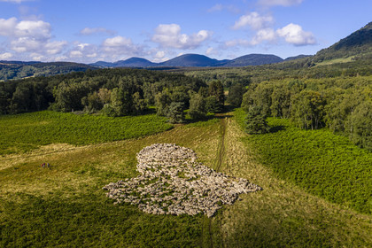 France, Puy-de-Dôme (63), Parc Naturel Régional des Volcans d'Auvergne, Chaine des Puys classée Patrimoine Mondial de l’UNESCO, les deux bergères Ostiane Vuillermoz et Charlotte Hevin gardant un troupeau de brebis Rava au pied du volcan Puy de Dôme (vue aérienne)