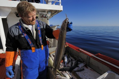 Norvège, Nordland, Îles Lofoten, pêche à la ligne professionnelle
