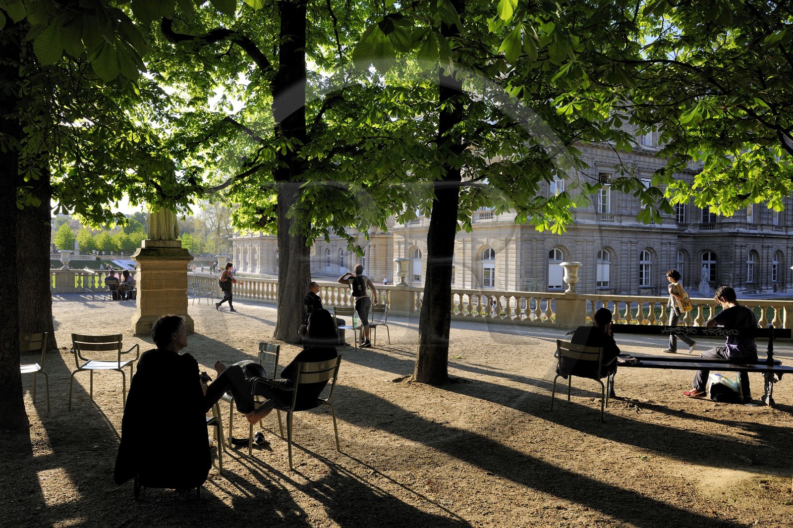 France, Paris (75), jardin du Luxembourg