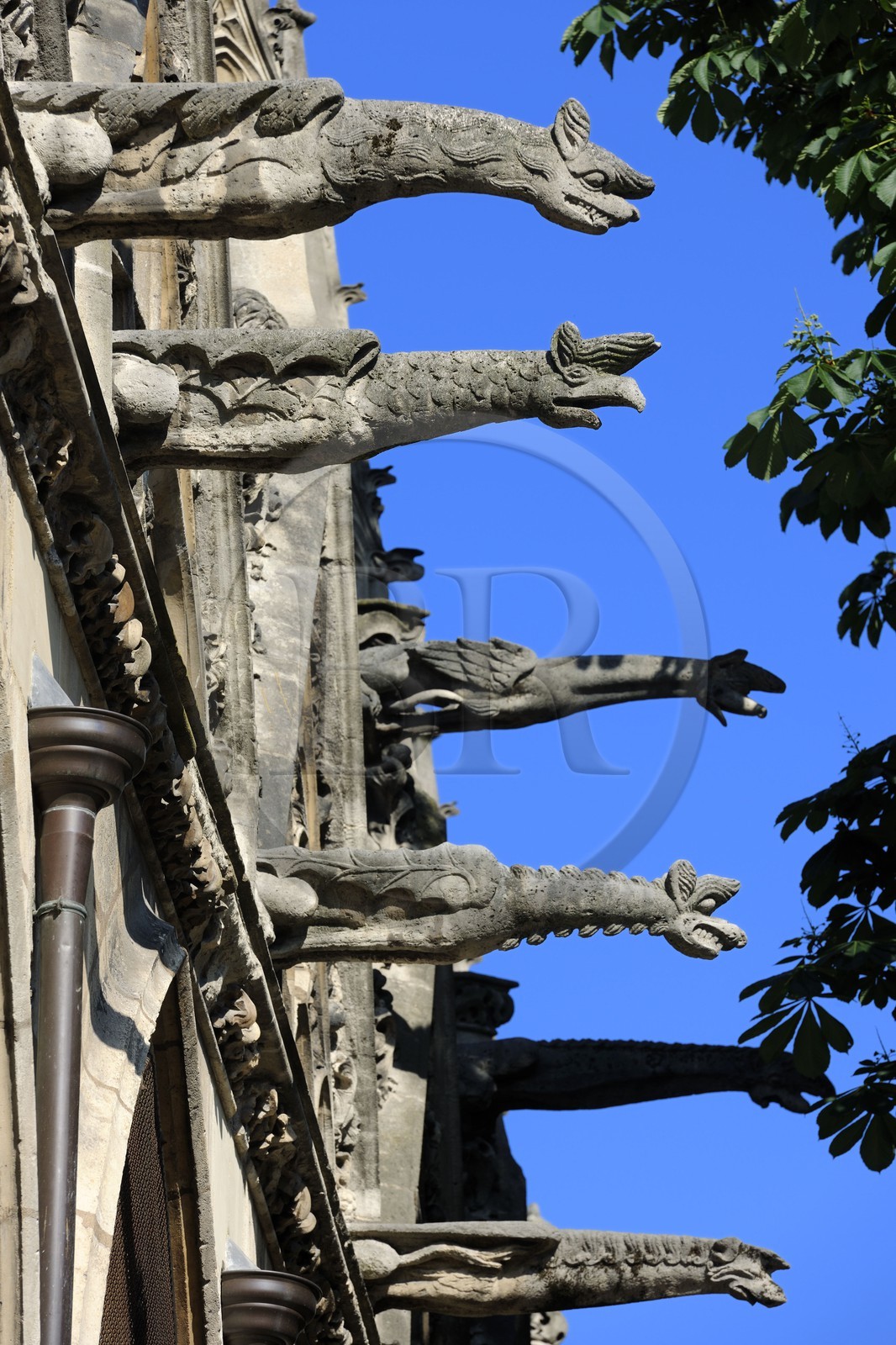 France, Paris (75), Eglise Saint-Séverin
