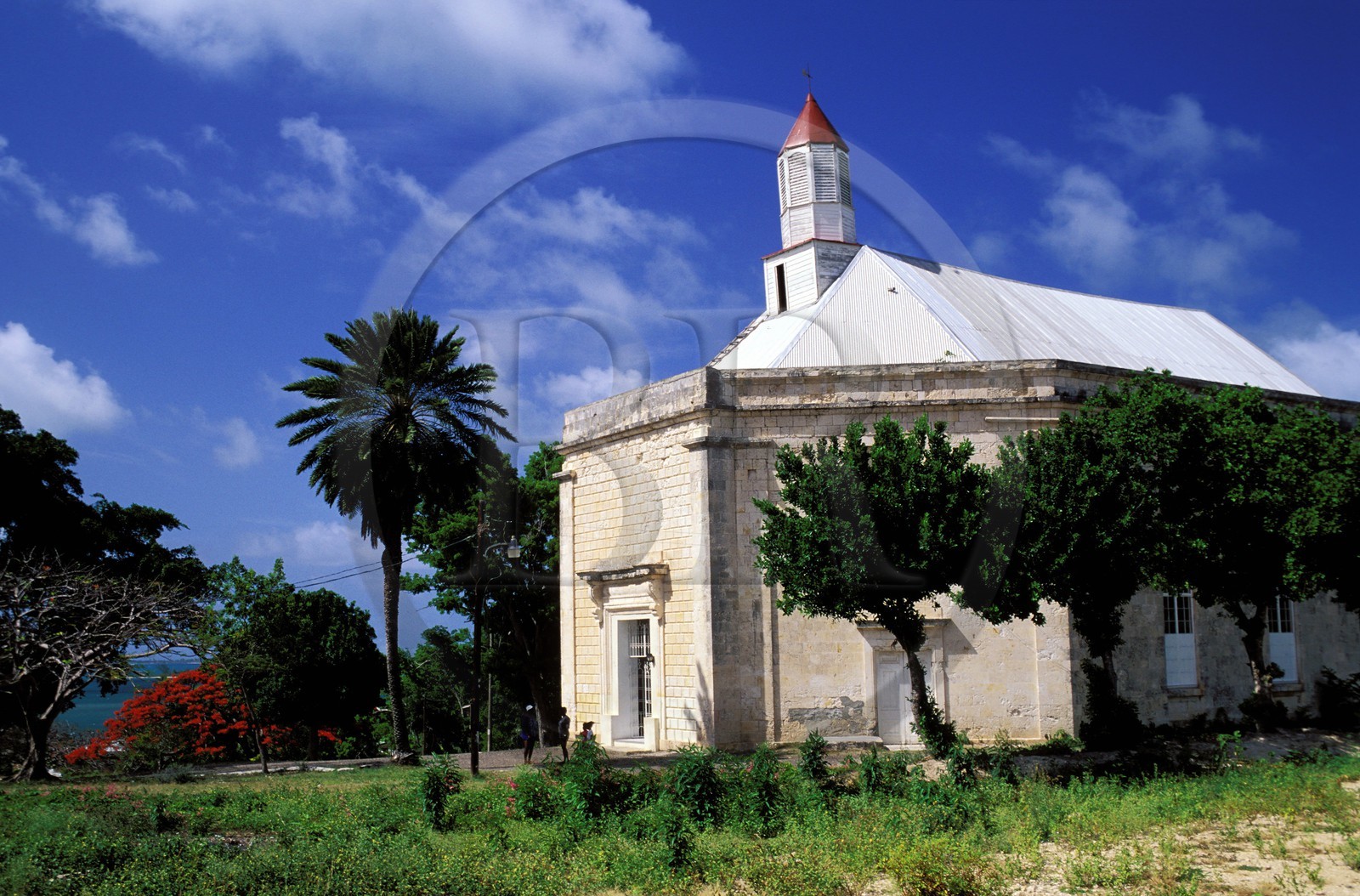 Caraïbes, Antigua et Barbuda, île d'Antigua, ville de Perham, église anglicane St Peter de style géorgien