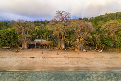 France, Ile de Mayotte, Grande-Terre, Kani-Keli, le Jardin Maoré, baobab (Adansonia digitata) sur la plage de N’Gouja (vue aérienne)