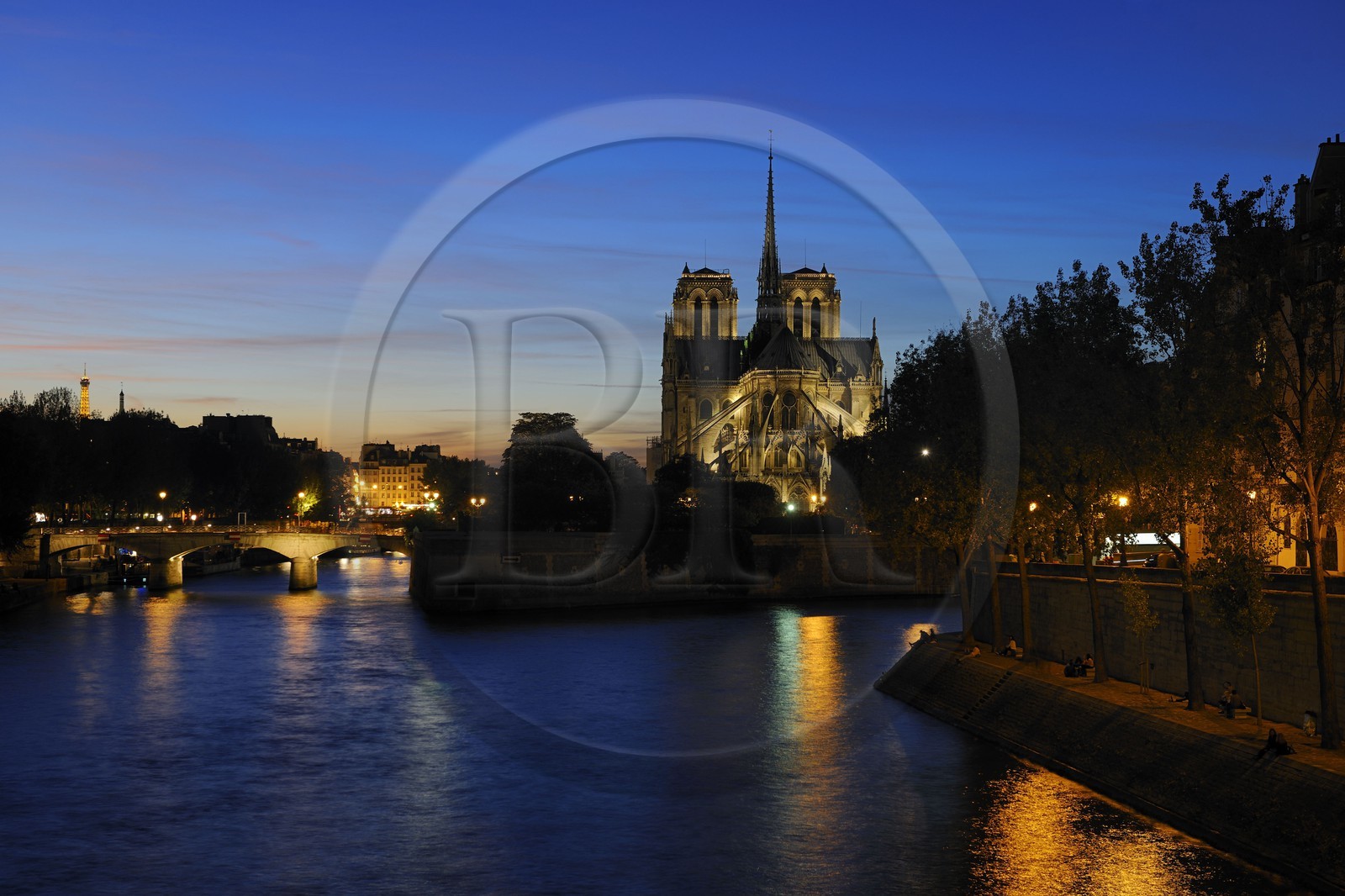 France, Paris (75), les rives de la Seine, classées Patrimoine Mondial de l'UNESCO, la cathédrale Notre-Dame