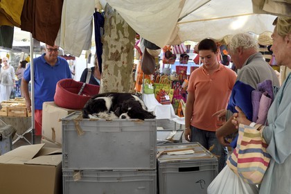France, Var (83), Saint-Tropez, place des Lices, terrasse de cafés et étals de produits artisanaux à l'occasion du marché hebdomadaire le samedi matin