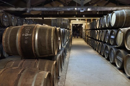 France, Charente (16), Cognac, tonneaux stockés dansles chais de vieillissement de la Maison de cognac Hennessy
