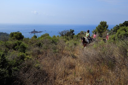 France, Var (83), Agay commune de Saint-Raphaël, cavaliers en randonnée dans le massif de l'Estérel et l'Ile d'Or au large du cap du Dramont en arrière plan