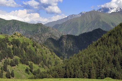 Géorgie, Kakheti, Parc national de Touchétie, ruines des anciennes tours fortifiées de l'ancienne forteresse de Diklo à la frontière du Daghestan (Russie) en arrière plan