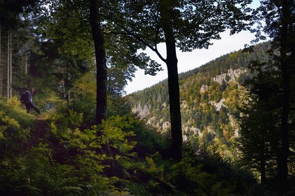France, Vosges (88), Le Valtin, randonnée dans la vallée du Valtin dans la haute-vallée de la Meurthe sur le circuit des Roches