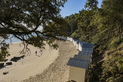 France, Vendée (85), Ile de Noirmoutier, Noirmoutier-en-l'Ile, le Bois de la Chaise, la plage de l'Anse Rouge et ses cabines de plage en bois