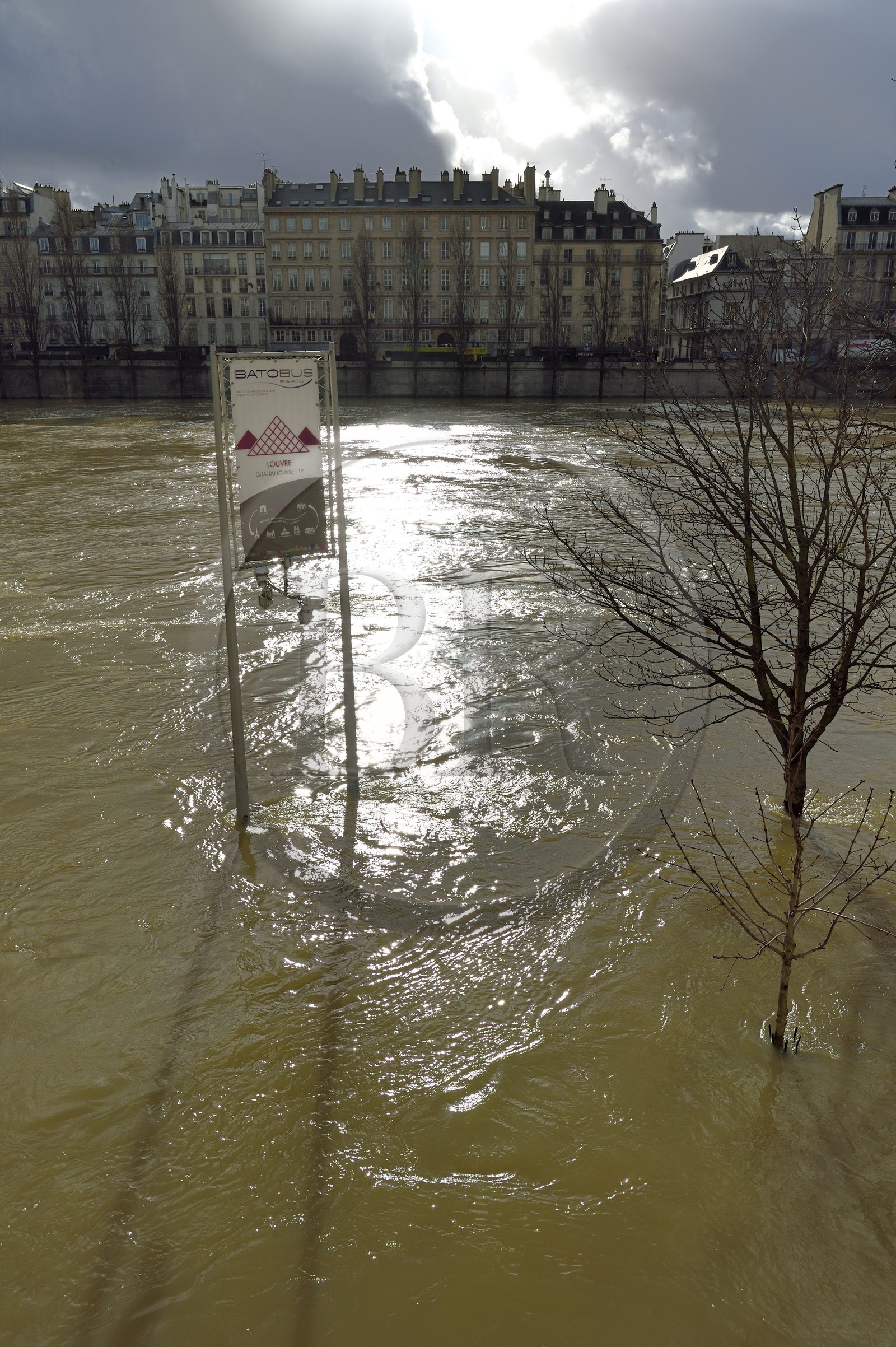 France, Paris (75), les rives de la Seine, classées Patrimoine Mondial de l'UNESCO, la crue de la Seine de janvier 2018, l'arrêt du Batobus du quai du Louvre