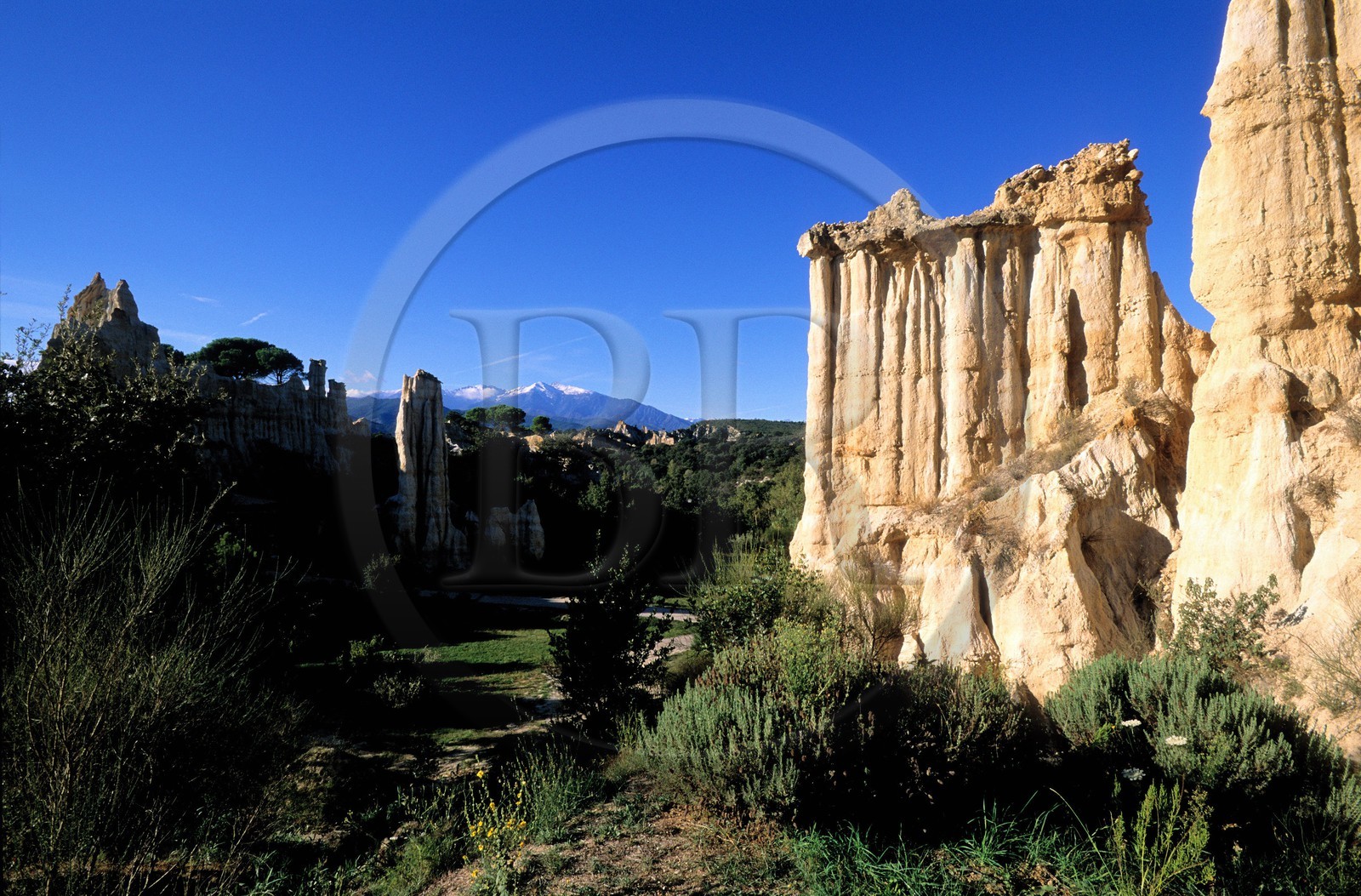 France, Pyrénées-Orientales (66), site des orgues vers îlle-sur-Têt dans le Ribéral