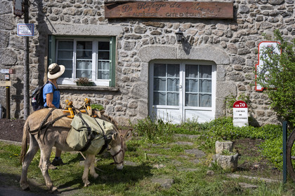 France, Lozère (48), Cheylard-l'Evêque, une escale pour la randonnée avec un âne sur le chemin de Stevenson (GR 70)