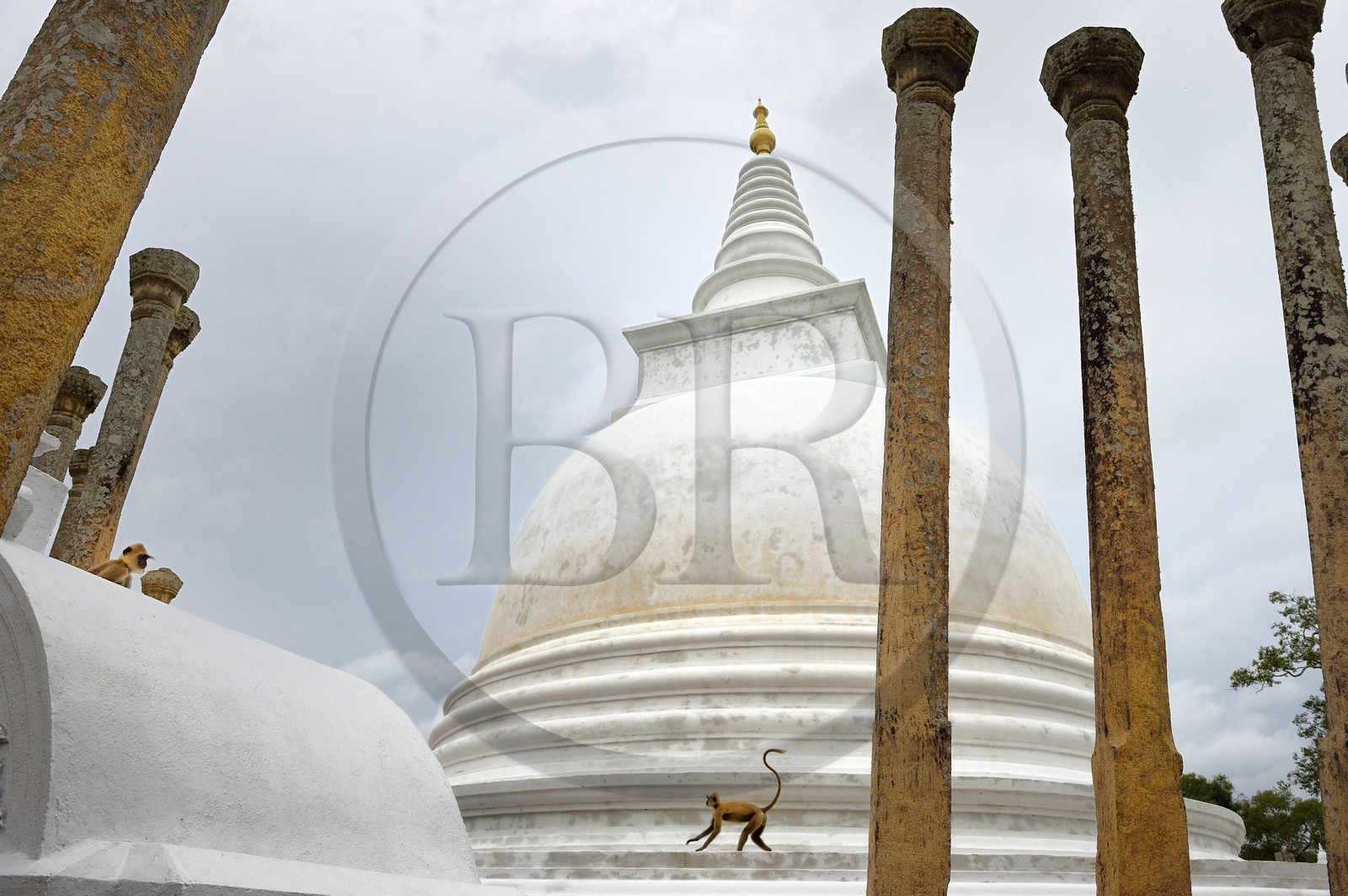 Sri Lanka, province du Centre-Nord, site d'Anuradhapura classé Patrimoine Mondial de l'UNESCO, capitale du Sri Lanka au IIIe siècle avant JC, le lieu sacré de vénération bouddhiste Dagoba de Thuparama