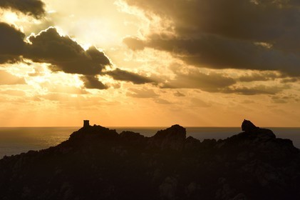 France, Corse-du-Sud (2A), le site naturel de Cala de Roccapina, la tour génoise et le rocher du Lion