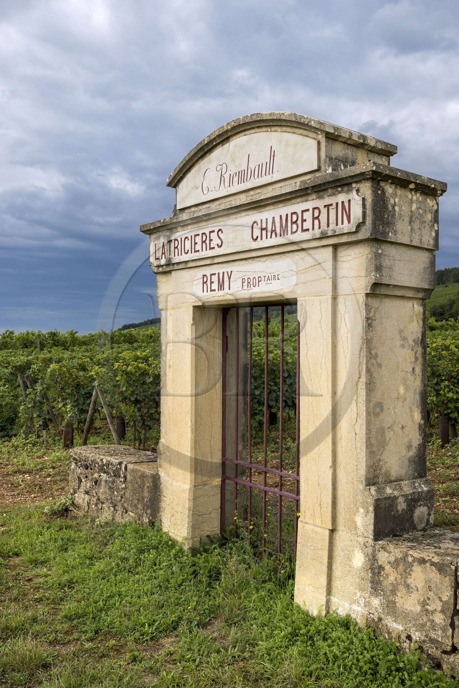 France, Côte-d'Or (21), Paysage culturel des climats de Bourgogne classés Patrimoine Mondial de l'UNESCO, Route des Grands Crus, vignoble de la Côte de Nuits, Gevrey-Chambertin, porte d'une parcelle