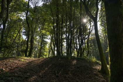 France, Saône-et-Loire (71), parc naturel régional du Morvan, Saint-Léger-sous-Beuvray, oppidum de Bibracte, capitale du peuple celte des Éduens, site archéologique sur le mont Beuvray, randonneurs dans la forêt de hêtre au sommet du mont