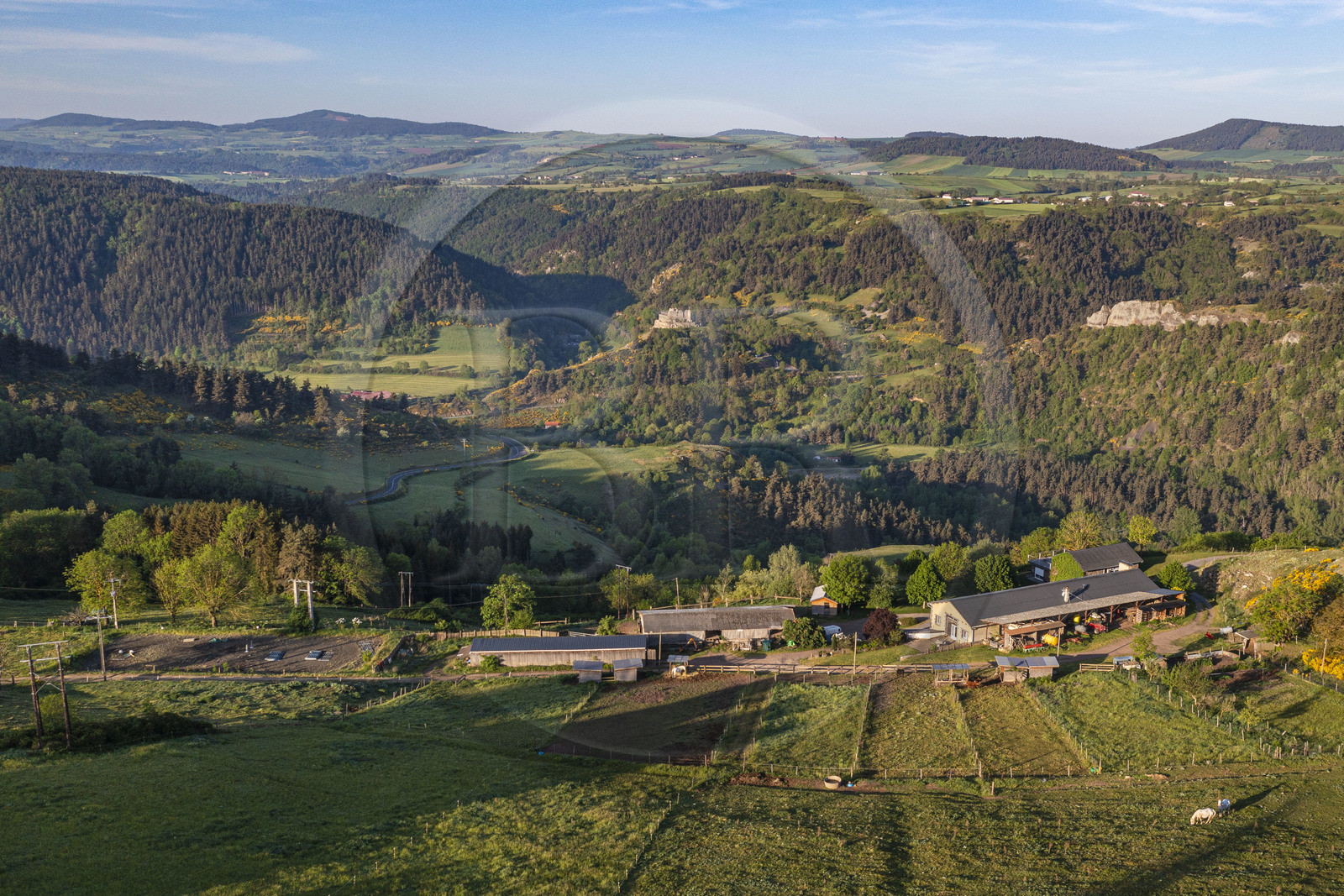 France, Haute-Loire (43), Saint-Martin-de-Fugères, MacQuart P.O.A. Ranch, poney des Amériques, randonnée avec un âne sur le chemin de Stevenson (GR 70), le village et le chateau de Goudet en arrière plan (vue aérienne)