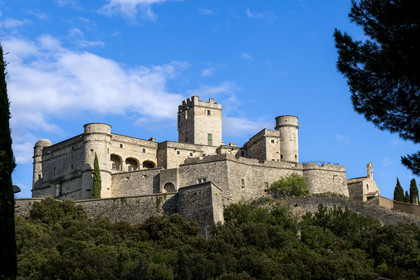 France, Vaucluse (84), Dentelles de Montmirail, Le Barroux, le chateau du Barroux émergeant de la forêt