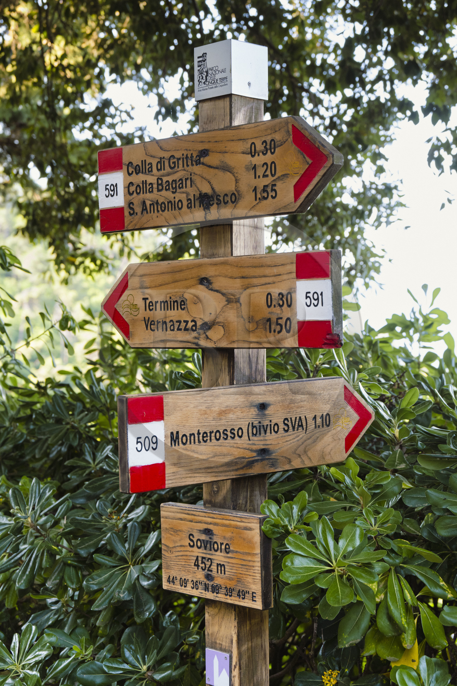 Italie, Ligurie, Cinque Terre, parc national des Cinque Terre classé Patrimoine Mondial de l'UNESCO, village de Monterosso al Mare, panneau indiquant les différents sentiers de randonnée et GR au départ du sanctuaire de Nostra Signora de Soviore