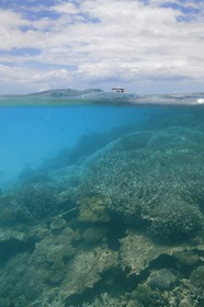 France, Ile de Mayotte, Grande-Terre, récif de corail dans la lagune face à la pointe Saziley  sur la cote Est
