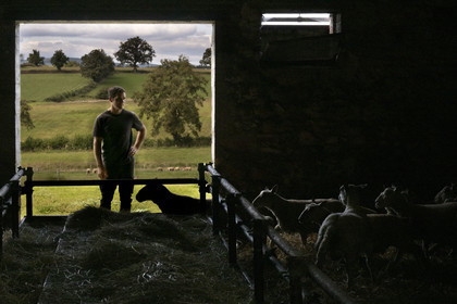 France, Nièvre (58), Parc naturel régional du Morvan, Millay, Ferme Les Prairies Gourmandes, l'agriculteur et éleveur Emmanuel Dumas avec ses moutons charollais