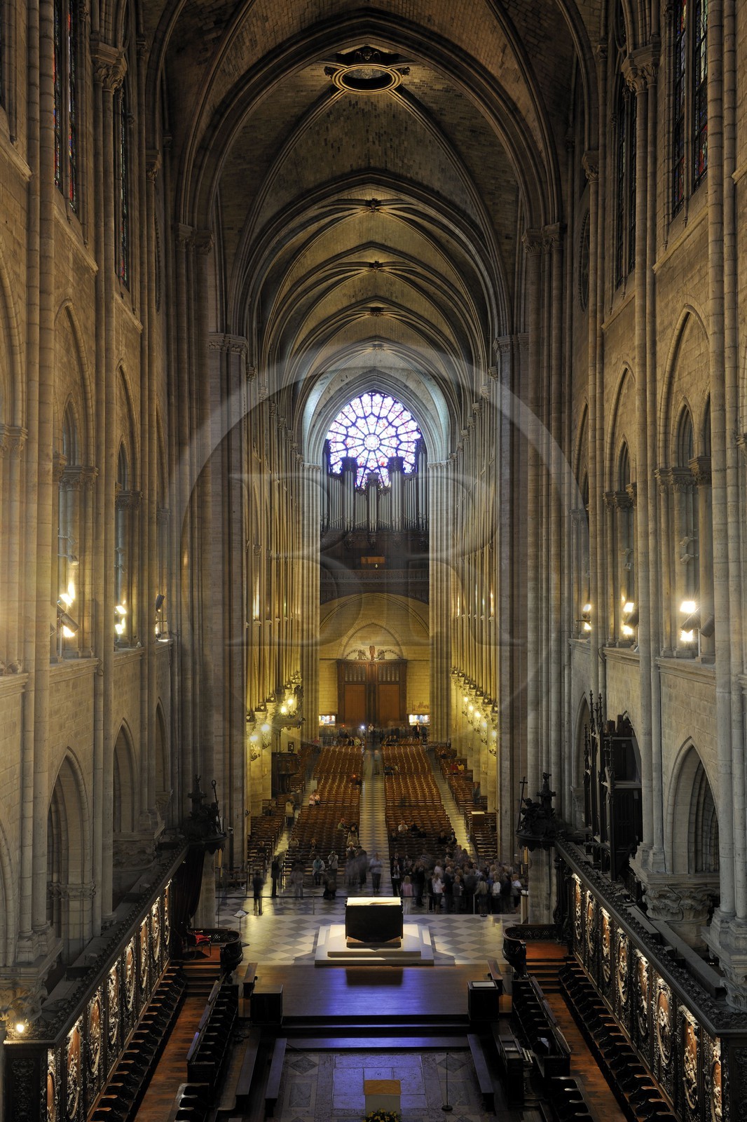 France, Paris (75), Ile de la Cité, cathédrale Notre-Dame de Paris, la nef et la rosace occidentale