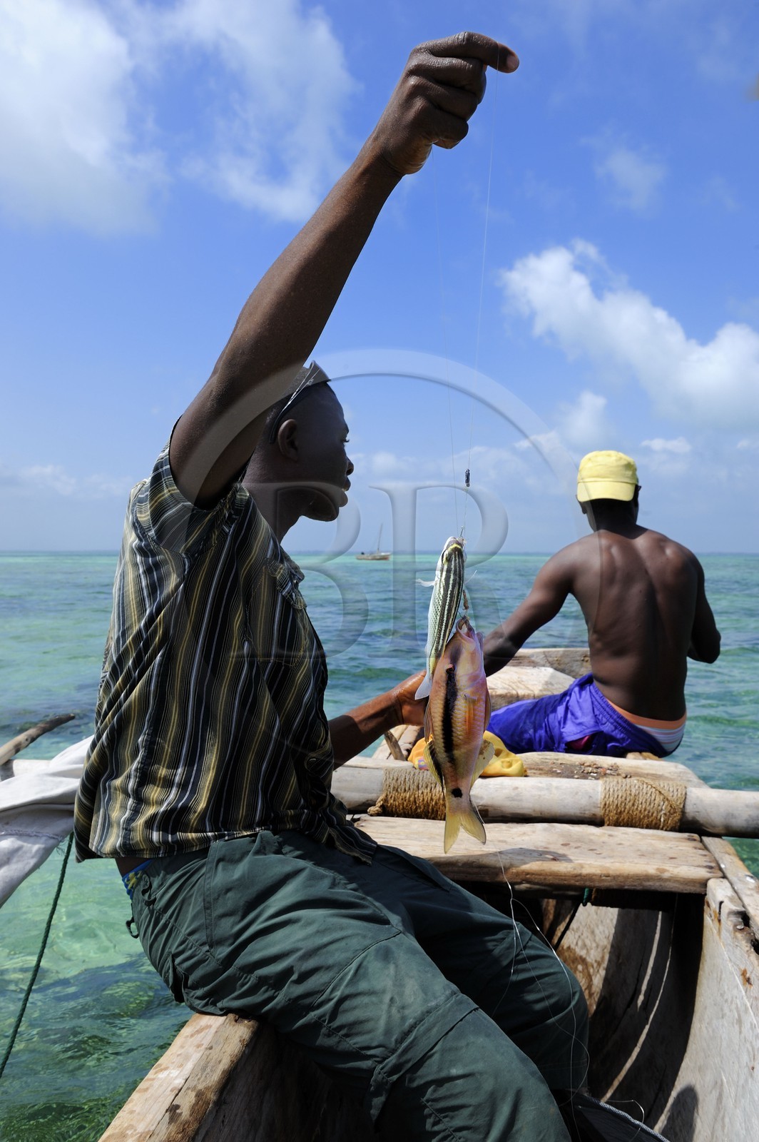Tanzanie, archipel de Zanzibar, île de Unguja (Zanzibar), côte est, baie de Chwaka vers Michamvi, pêche à la ligne sur un dhow (boutre traditionnel)