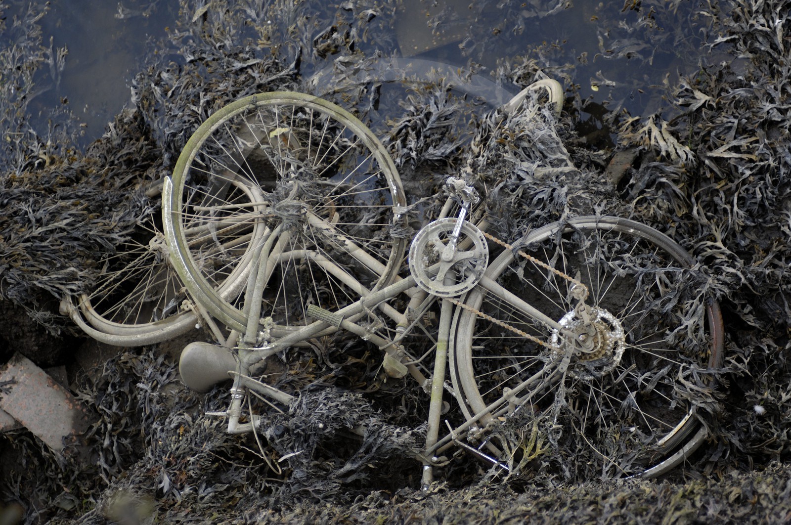 Irlande, Dublin, quartier populaire des anciens docks