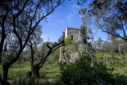 France (30), Gard, Villeneuve-lès-Avignon, la très ancienne chapelle Sainte-Casarie dans les jardins de l'ancienne abbaye bénédictine de Saint André