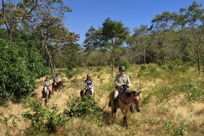 Nicaragua, Ile d'Ometepe sur le lac Nicaragua, cavaliers en randonnée sur les pentes du volcan Maderas