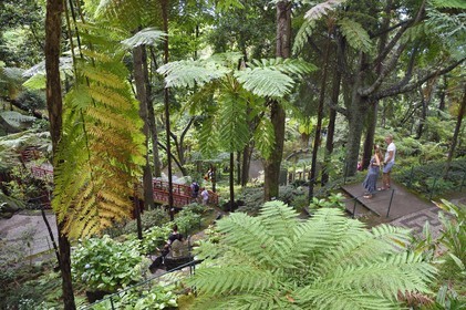 Portugal, Ile de Madère, Funchal, le jardin tropical Monte Palace