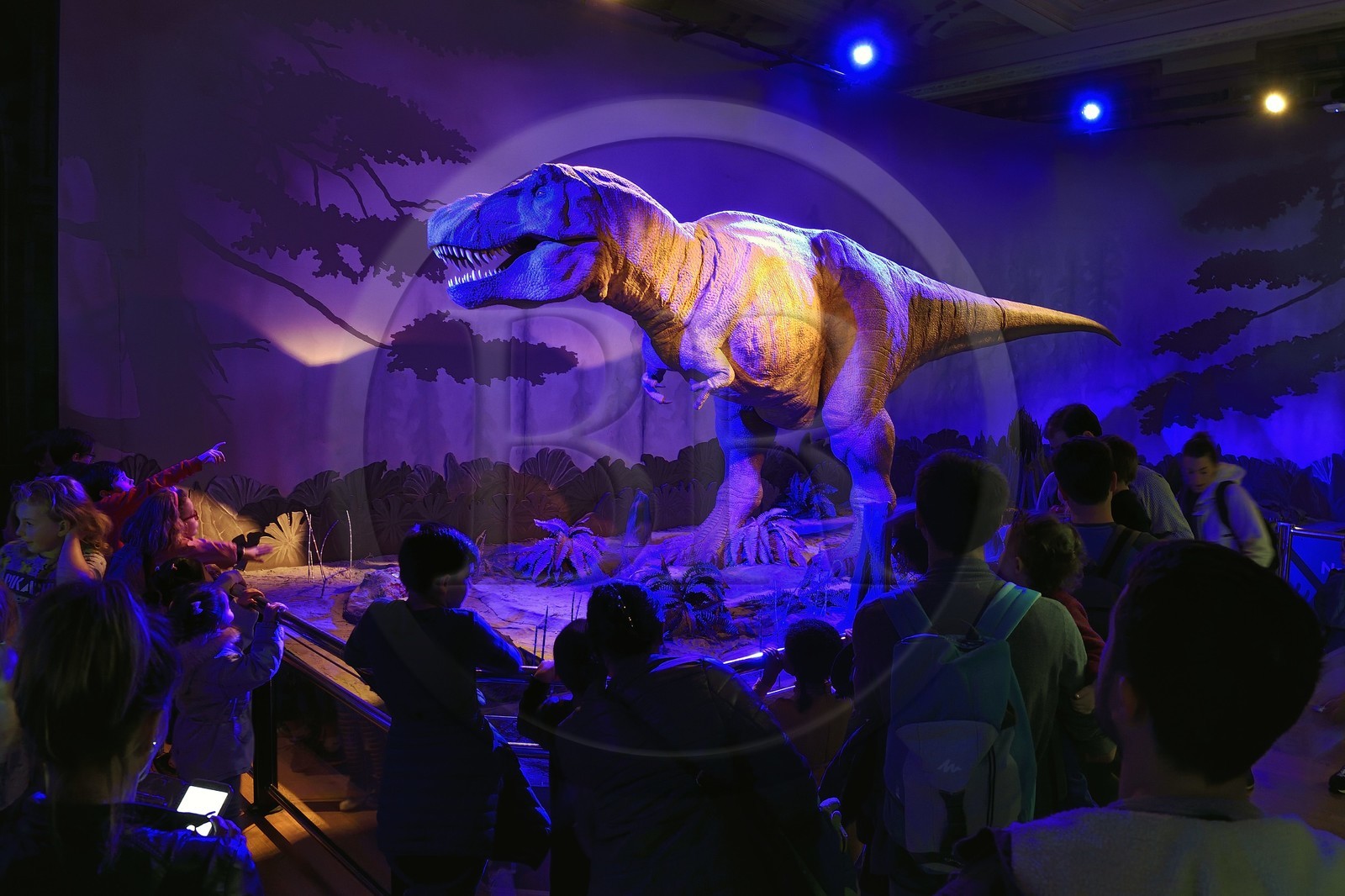 Royaume-Uni, Londres, Kensington, musée d’histoire naturelle (Natural History Museum), Tyrannosaurus Rex (T-Rex) animé