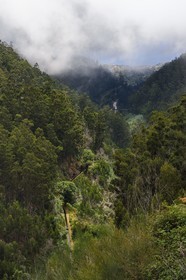 Portugal, Ile de Madère, la Levada da Rocha Vermelha dans la vallée de Calheta