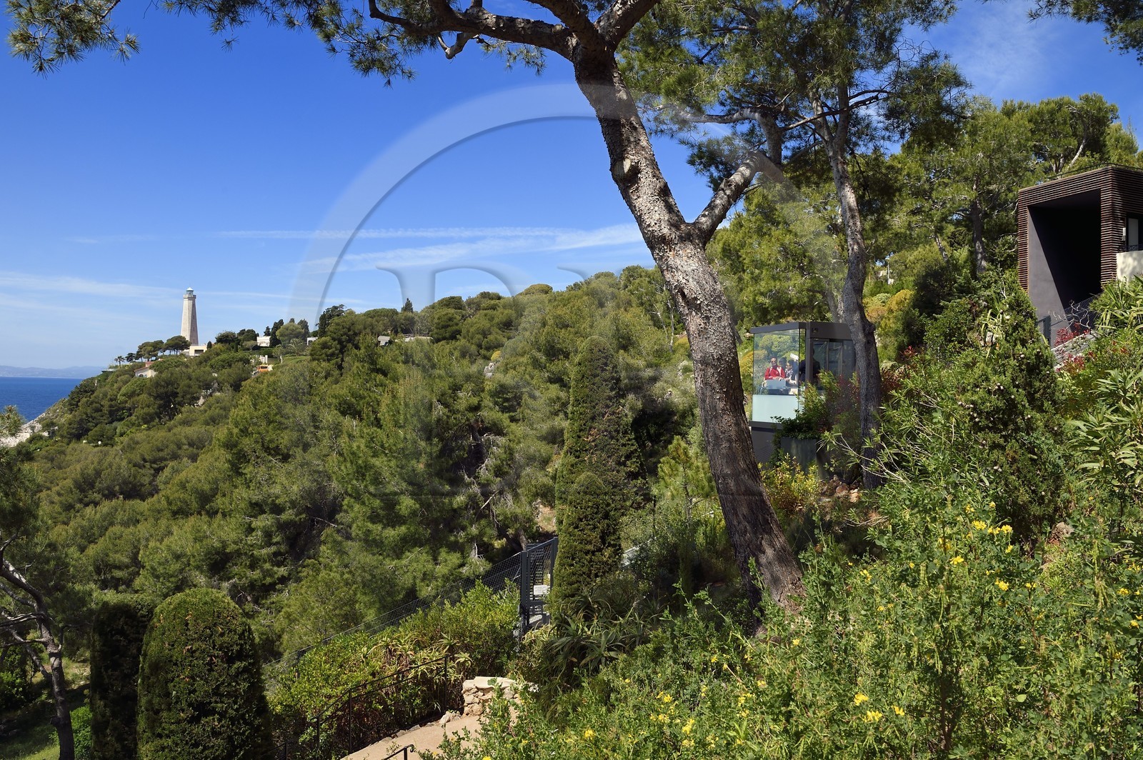 France, Alpes Maritimes (06), Saint-Jean-Cap-Ferrat, funiculaire dans les jardins du Grand-Hotel du Cap-Ferrat, palace 5 étoiles du groupe Four Seasons Hotel, et le phare du Cap-Ferrat en arrière plan
