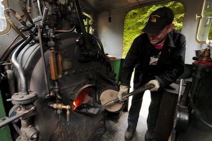 France, Moselle (57), Abreschviller, le petit train anciennement train forestier, Locomotive 02 + 20 T Mallet N°476, construite par la Maschinenfabrik Heilbronn en 1906 pour le réseau (exemplaire unique)
