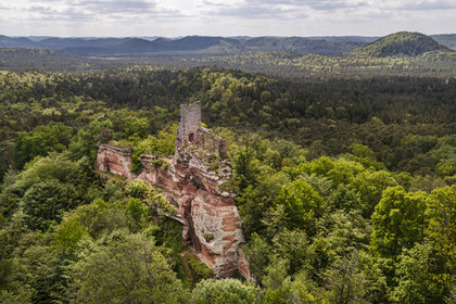 France, Bas-Rhin (67), Parc naturel régional des Vosges du Nord, Obersteinbach, foret domaniale de Steinbach, ruines du chateau de Lutzelhardt (vue aérienne)