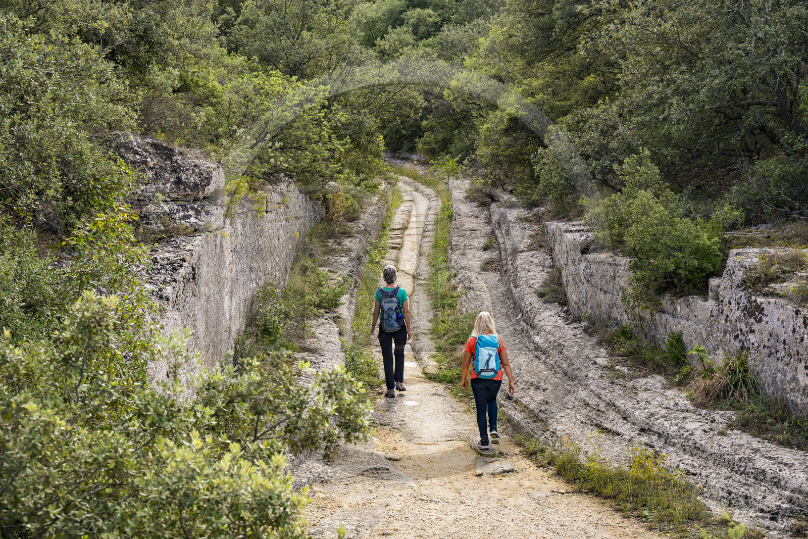 France, Gard (30), Vers-Pont-du-Gard, carrières de pierre sur le tracé de l'aqueduc romain de Nimes, profondes ornières laissées dans la roche du chemin par les roues des chariots qui y ont circulés depuis l'époque romaine