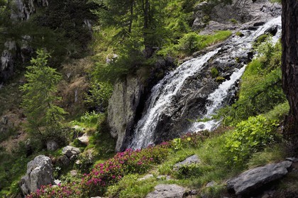 France, Alpes-Maritimes (06), parc national du Mercantour, vallée de la Valmasque, cascade du verrou glaciaire