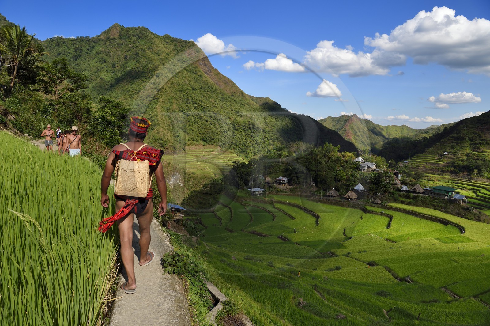 Philippines, province d'Ifugao, les rizières en terrasses de Banaue autour du village de Batad, classées Patrimoine Mondial de l'UNESCO, le guide Adolpho revetu du costume traditionnel Ifugao