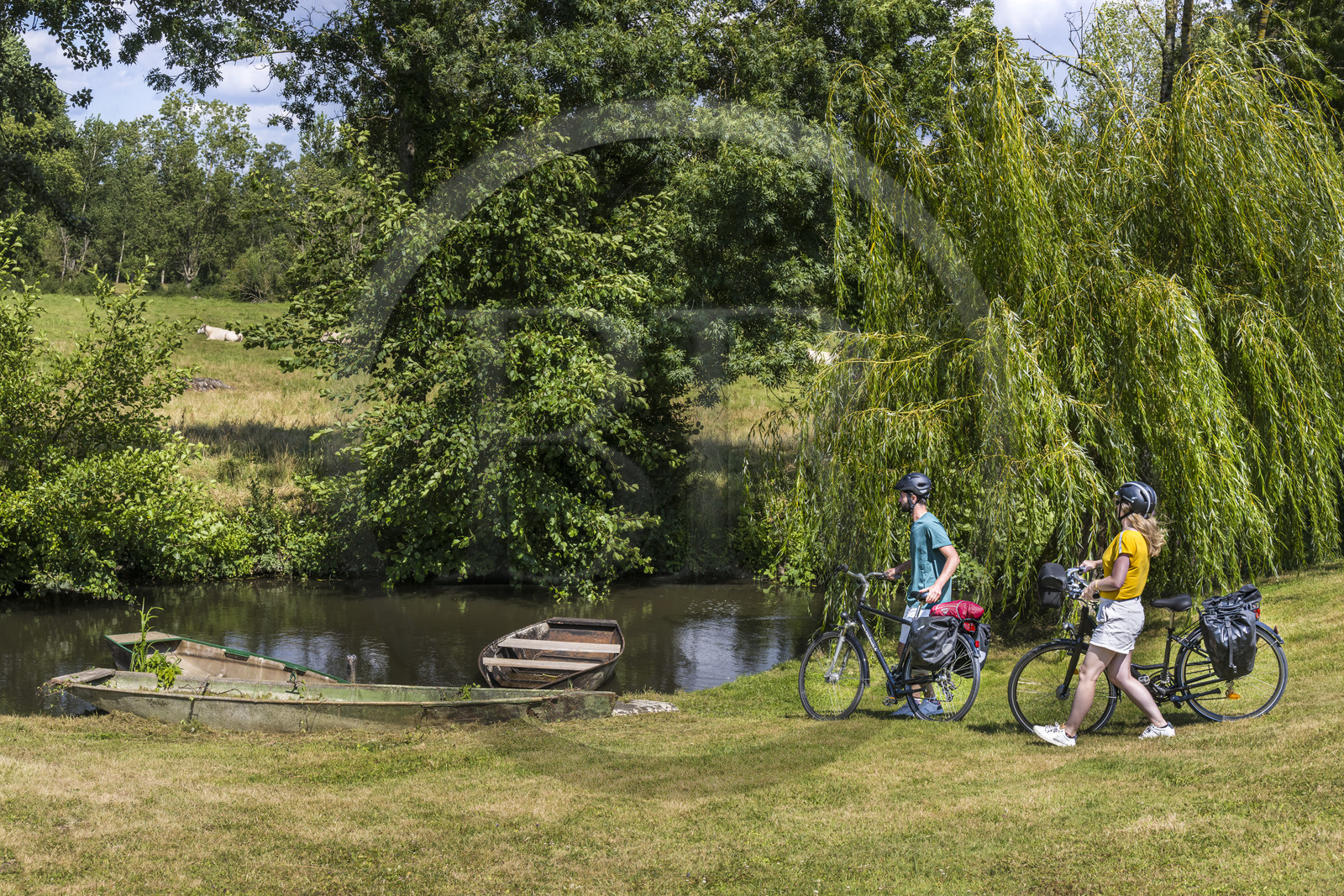 France, Deux-Sèvres (79), le Marais Poitevin, la Venise Verte, Le Vanneau-Irleau, randonnée à bicyclette le long des canaux