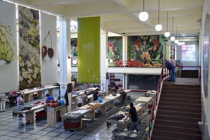 Portugal, Ile de Madère, Funchal, le marché couvert Mercado dos Lavradores, hall des poissons