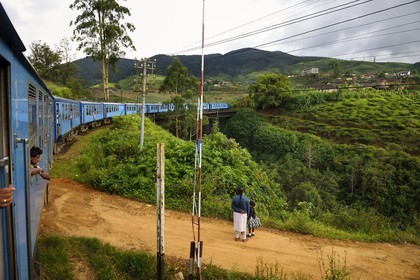 Sri Lanka, Province du Centre, trajet en train dans la région montagneuse de la culture du thé entre Hatton et Badulla, ici aux abords de Nanuoya